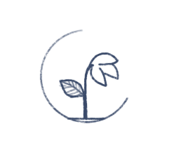 unable to scale